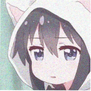 妈妈的职业 导演头像